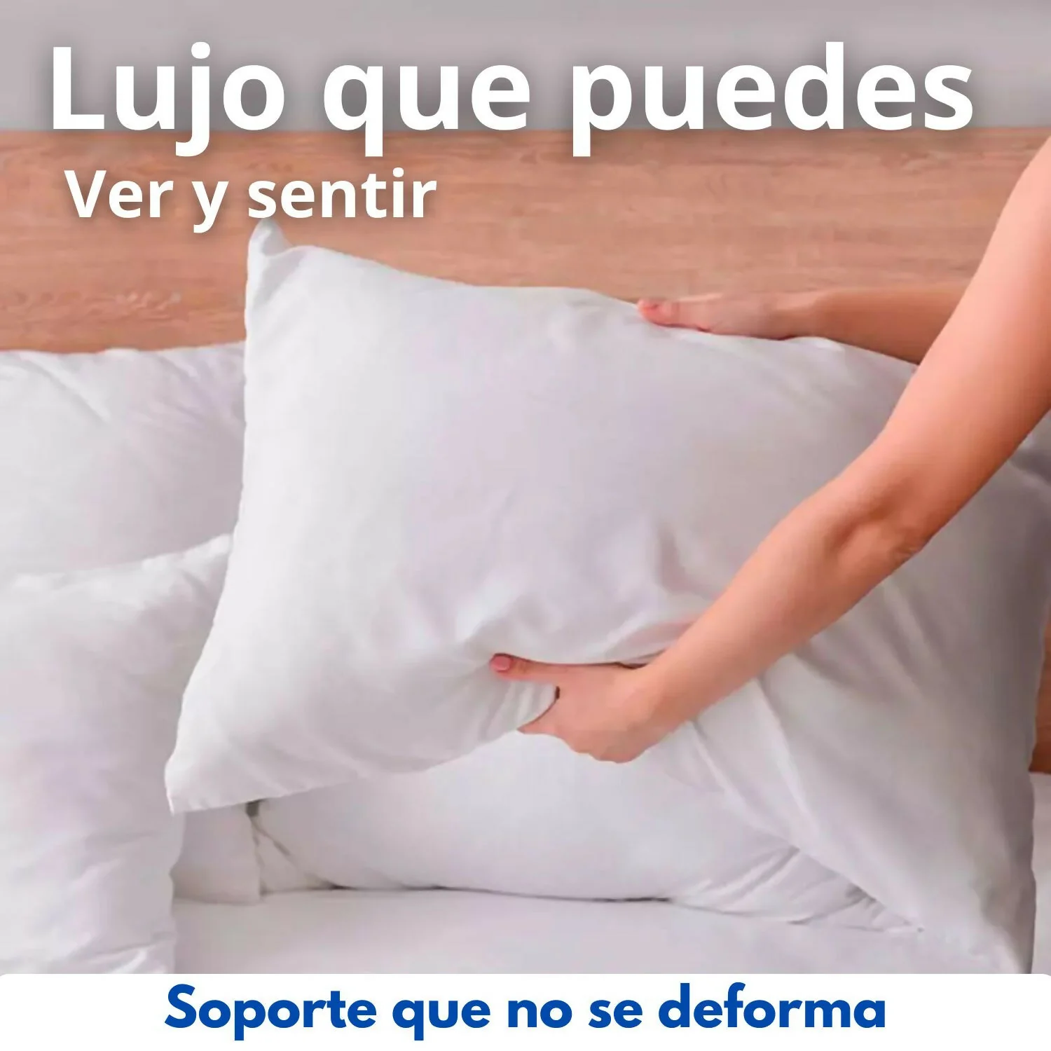 Almohada siliconada con funda 45x65cm Set x2 - Image 2