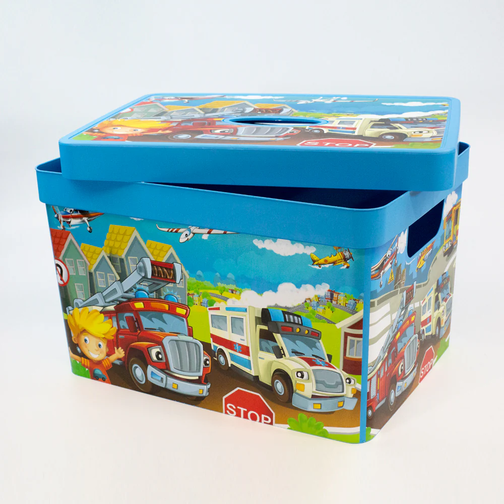CAJA ORGANIZADORA CARS 161490-003
