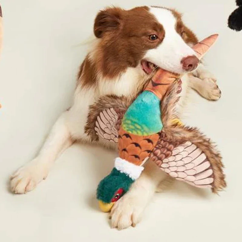 FAISÁN DE FELPA PLUSH DOGM - Image 2