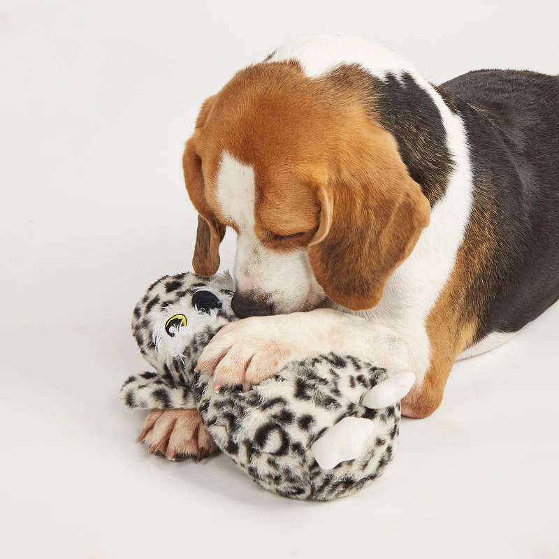 JUGUETE PARA PERRO BÚHO DE FELPA PLUSH DOGL - Image 3