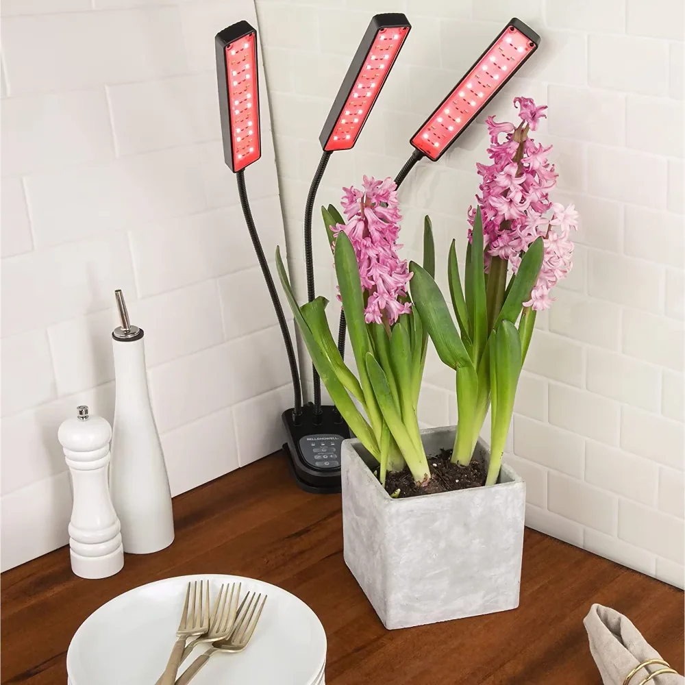 LAMPARA LED PARA PLANTAS MATAS DE CULTIVO EN INTERIORES ULTRAVIOLETA - Image 5