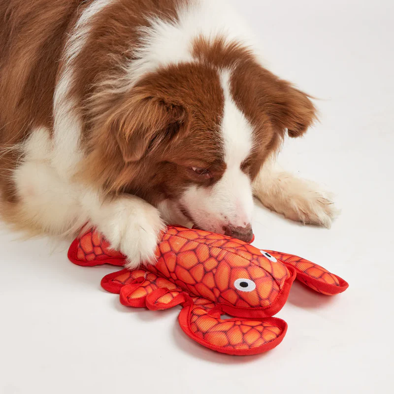 LANGOSTA DE PELUCHE DE VERANO - Image 2