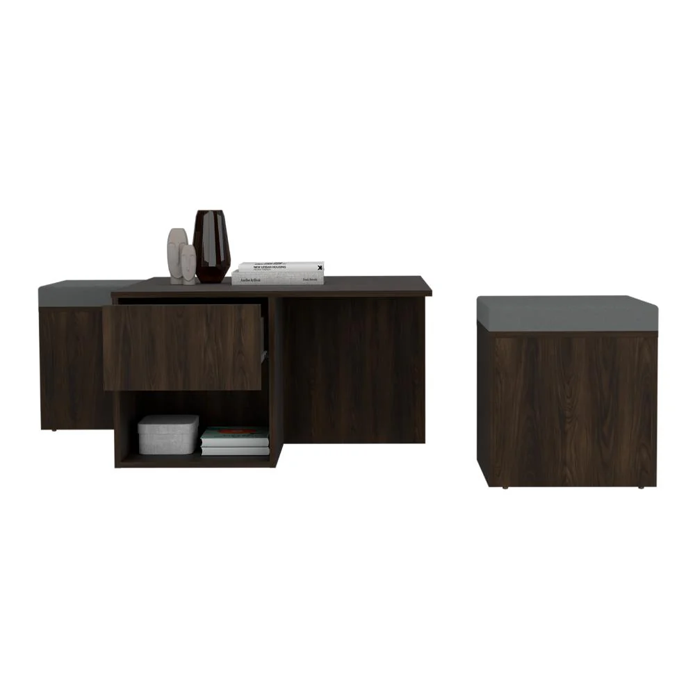 MESA DE CENTRO LUCIEN, NOGAL EUROPEO, CON ESPACIO PARA COLOCAR OBJETOS DECORATIVOS ZF - Image 2