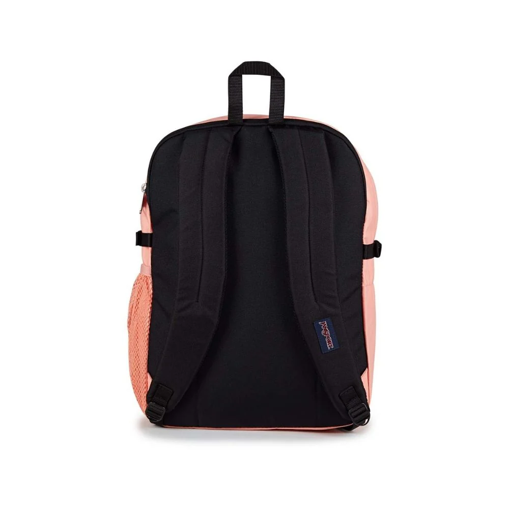 MORRAL MAIN CAMPUS PEACH BUM JS0A4QUL-KM2 - Image 3