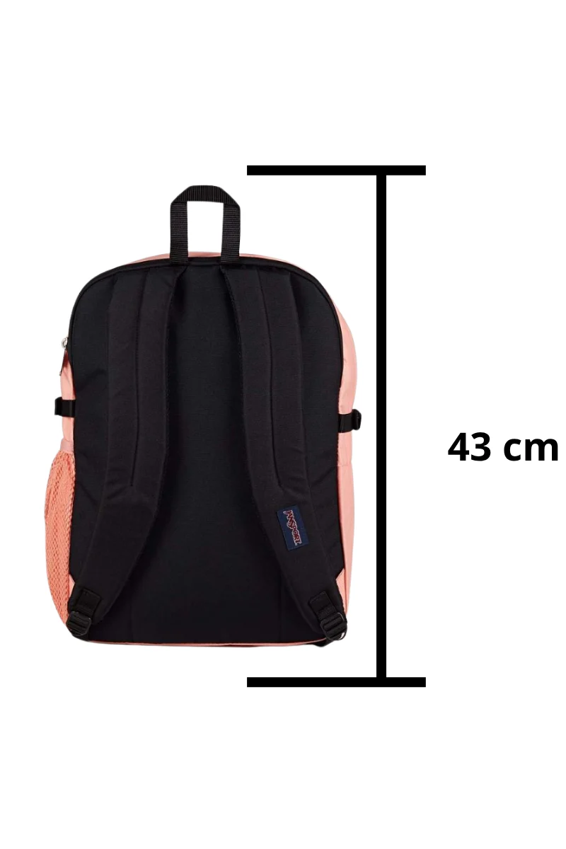 MORRAL MAIN CAMPUS PEACH BUM JS0A4QUL-KM2 - Image 4