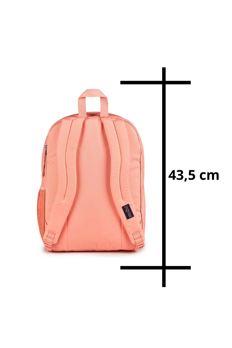 MORRALBIG STUDENT JS0A47JK-KM2 - Image 4