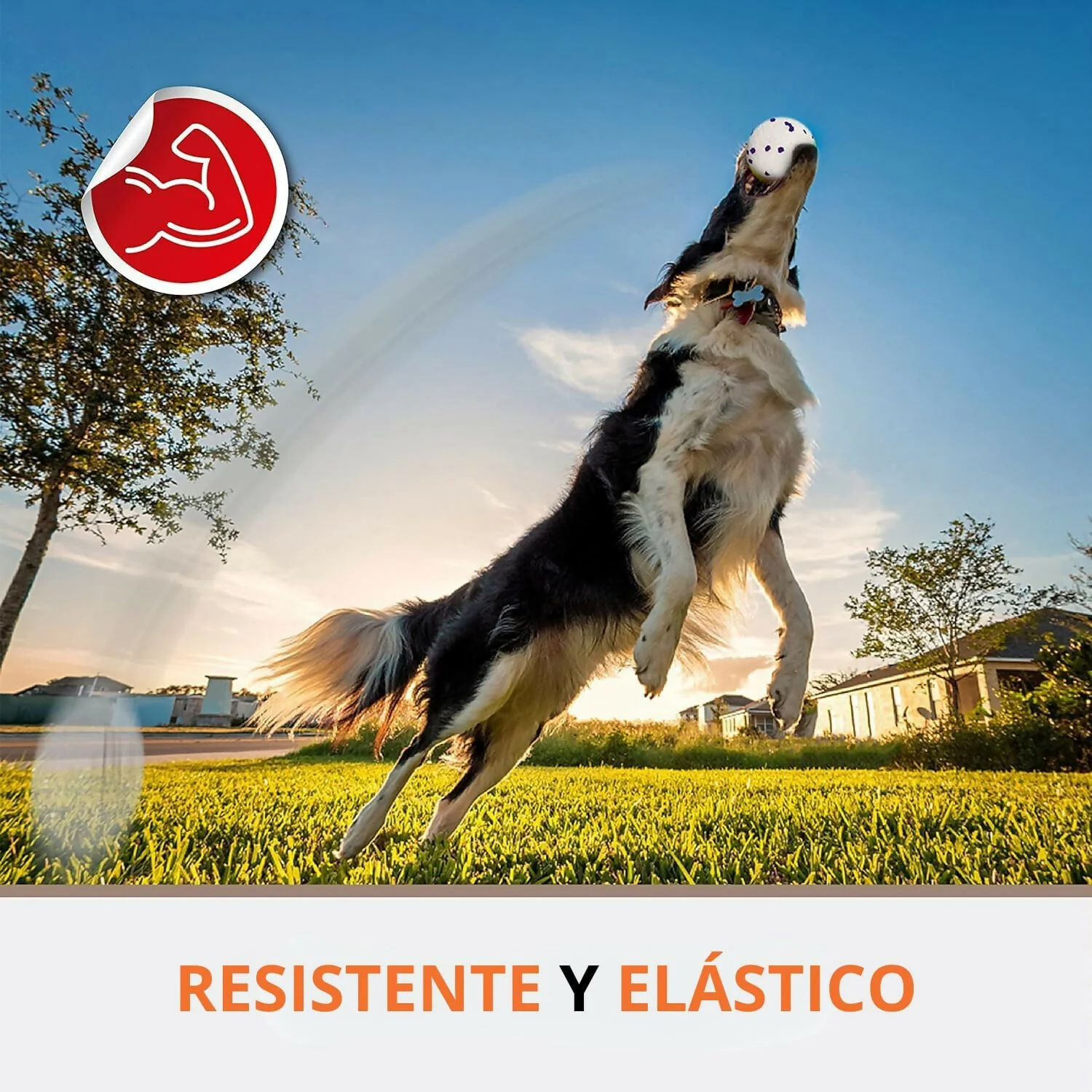 PELOTA ETPU ULTRARESISTENTE DOGL - Image 3