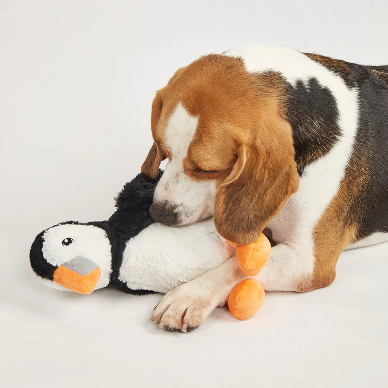 PINGÜINO DE FELPA PLUSH DOG L - Image 2