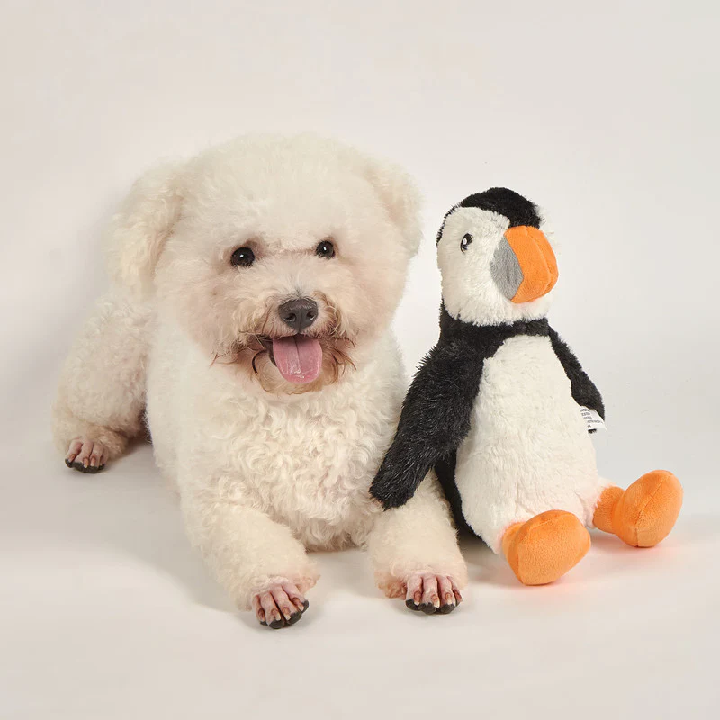 PINGÜINO DE FELPA PLUSH DOG L - Image 4